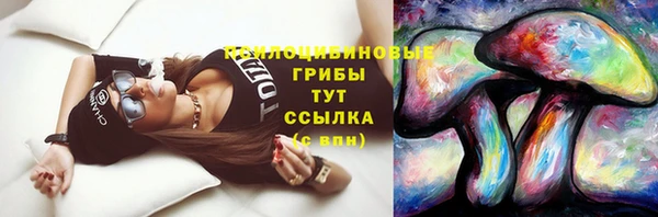 соль ск Белокуриха