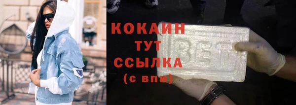 дживик Богданович