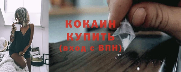 дживик Богданович