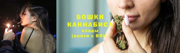 ПСИЛОЦИБИНОВЫЕ ГРИБЫ Вязники