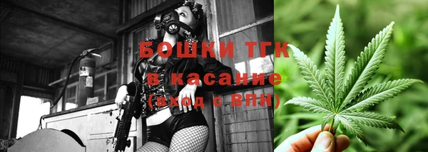 mix Богородск