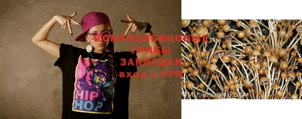 дживик Богданович
