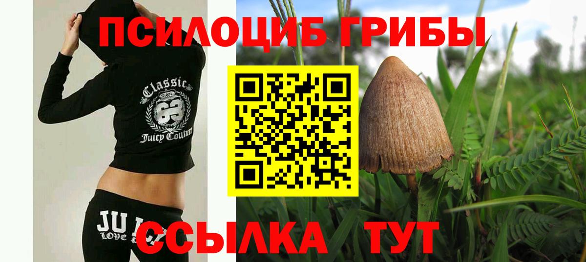 Псилоцибиновые грибы Magic Shrooms  Вход с VPN  Дагестанские Огни  Псилоцибиновые грибы MAGIC MUSHROOMS 