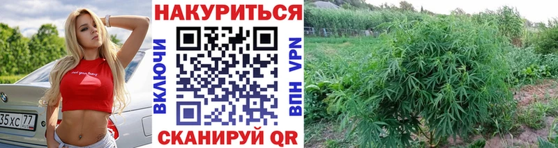 что такое   Дагестанские Огни  kraken как зайти  Бошки Шишки AK-47 